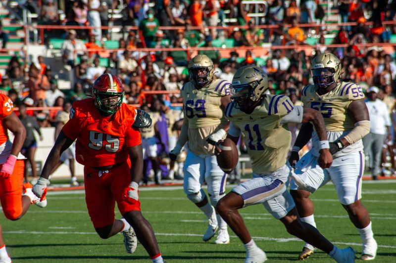 The Florida A&M Rattlers defense chases Alcorn State Braves quarterback Jaylon Tolbert during a NCAA college football Week 8 Southwestern Athletic Conference game on Ken Riley Field at Bragg Memorial Stadium, Saturday, Oct. 18, 2025.