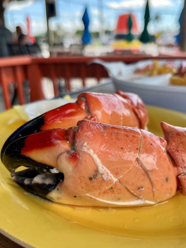 The jumbo stone crab claws at Phuzzy's Boat Shack in St. James City are a handful.