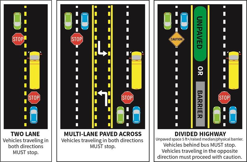 A Florida Department of Highway Safety and Motor Vehicles (FLHSMV) illustrates what drivers are legally required to do while encountering a stopped school bus.