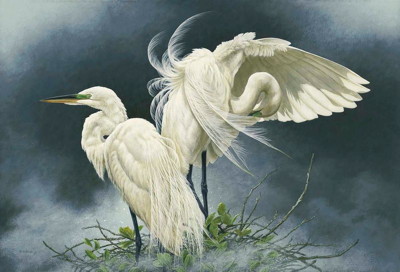 Marco Island Center for the Arts presents “The Wildlife Art of Ron Orlando” in La Petite Gallery from now through Dec. 2.