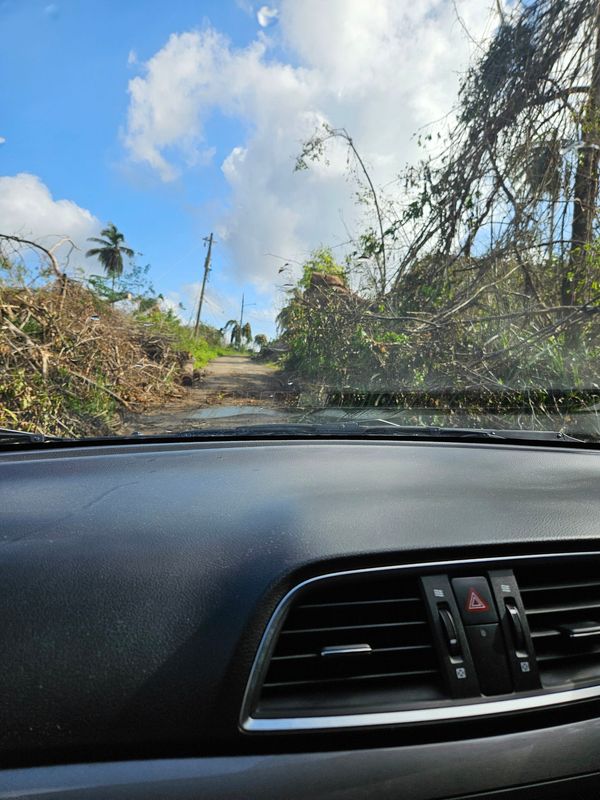 A road in Trelawny, a parish in Jamaica, was blocked with downed trees and limbs and left it impassible for Kara Palmer Smith and others, who were stranded following the Hurricane Melissa.