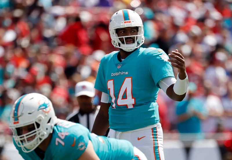 Oct 10, 2021; Tampa, Florida, USA; Miami Dolphins quarterback Jacoby Brissett (14) against the Tampa Bay Buccaneers during the first quarter at Raymond James Stadium. Mandatory Credit: Kim Klement-USA TODAY Sports