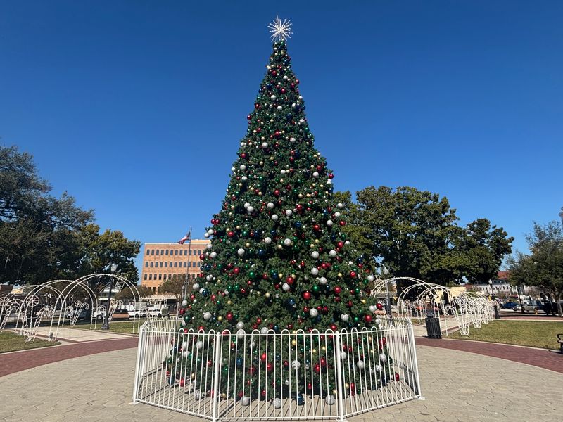 Lakeland's Munn Park has a 34-foot tall Christmas tree at its center for the first time in recent history, according to Bob Donahay, director of the city's Parks, Recreation and Cultural Arts Department. The tree was paid for by Lakeland Downtown Development Authority.