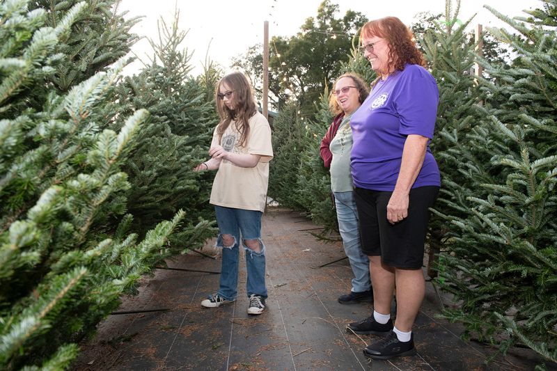 Kyleigh Cayton, Christine Halland, and Anita Van Etten pick out the perfect fresh-cut Christmas Tree at Bailey's Produce & Nursery on Nov. 26, 2025.