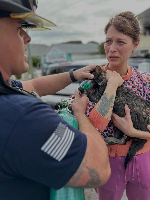 One person was treated and transported to a hospital and two cats were rescued and treated at the scene after a fire Wednesday, Dec. 17, 2025, at 817 Maralyn Ave., New Smyrna Beach.