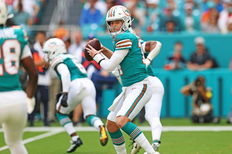 Dec 21, 2025; Miami Gardens, Florida, USA; Miami Dolphins quarterback Quinn Ewers (14) drops back for a pass during the first quarter against the Cincinnati Bengals at Hard Rock Stadium. Mandatory Credit: Nathan Ray Seebeck-Imagn Images