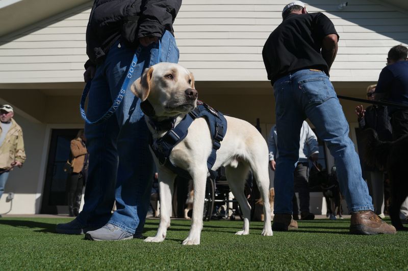 Can homeowner associations deem some dogs too big for the neighborhood?