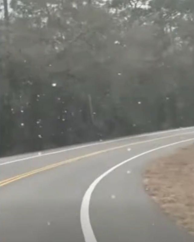 A First Coast News viewer Angela Bureau sent this video image of snow flurries in Sanderson, Baker County, for the area's freezing temperatures Jan. 31-Feb. 1. Snow flurries were evident across Northeast Florida.