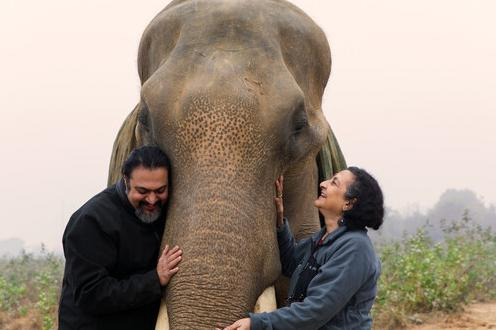 Wildlife SOS co-founders Kartick Satyanarayan and Geeta Seshamani will highlight the leading wildlife conservation group's elephant welfare initiatives and screen the award-winning film ‘My Sweet Paro’ during the Tours for Tusks.