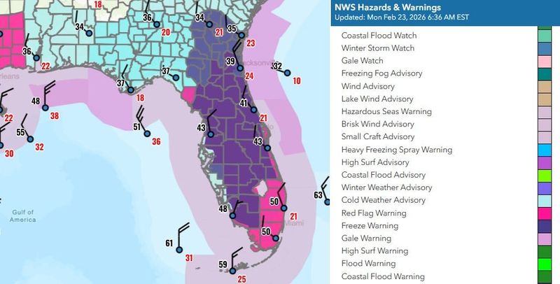 Freeze warnings, red flag warnings, and cold weather advisories cover Florida following on Monday Feb. 23 following a strong cold front.