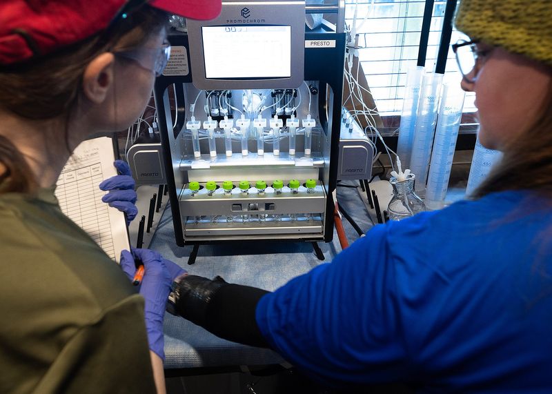 Testing Experiment Methods Scientists test new methods to fight red tide in St. Andrews Bay