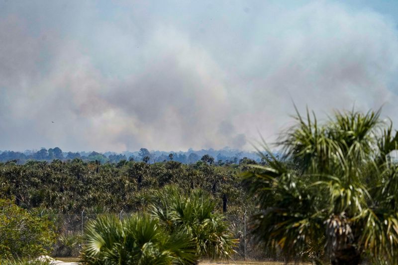 Plumes of smoke are seen from State Road 29 and I-75 due to a fire in Big Cypress National Preserve on Wednesday, Feb. 25, 2026.