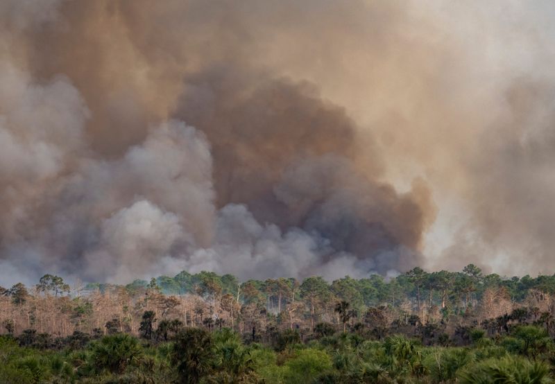 Smoke billows from a 24,000-acre brushfire in Big Cypress National Preserve on Wednesday, Feb. 25, 2026.