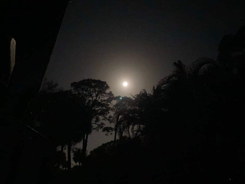 Image taken of the moon from Vero Beach during the penumbral eclipse phase of a total lunar eclipse, shortly before the partial eclipse phase begins.