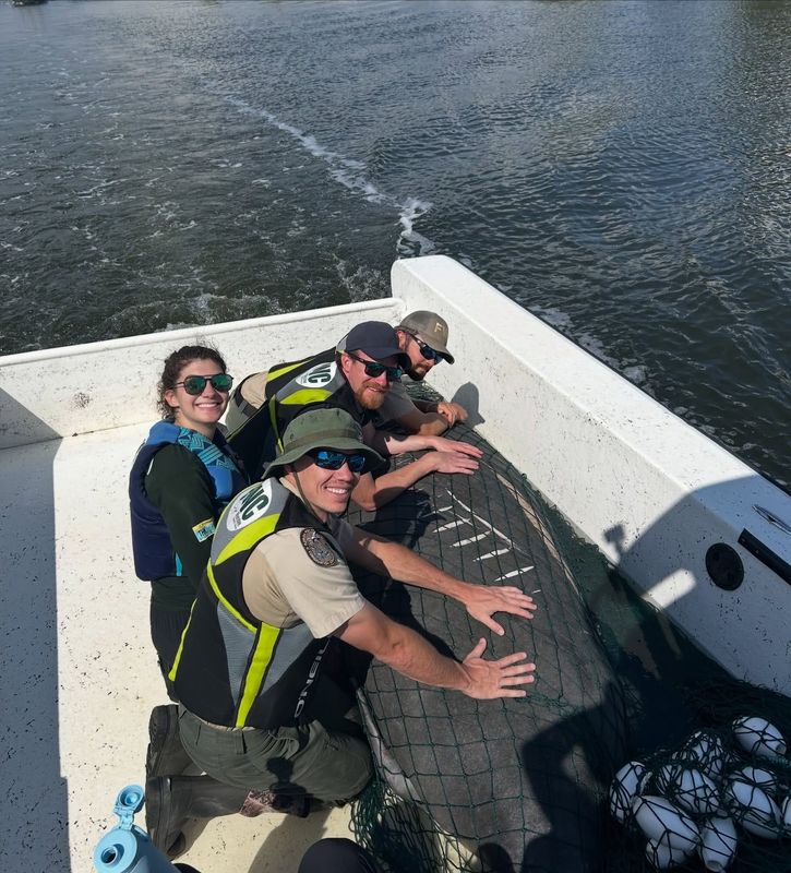 The Cape Coral Police Department assisted the FWC in rescuing an injured manatee mother who was hit by a propeller nearly two dozen times.