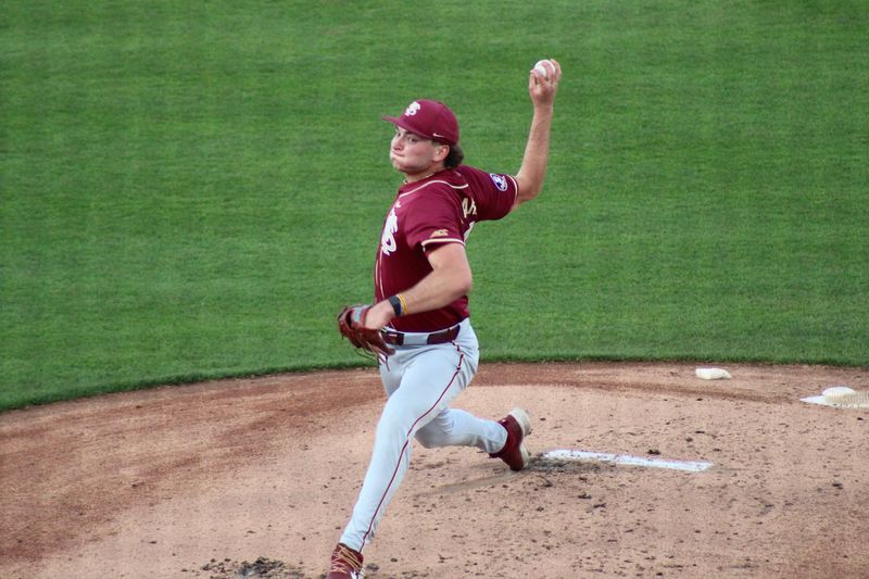 Florida State baseball snapped its nine-game win streak in a 6-3 loss to the University of Florida Gators on Mar. 10.