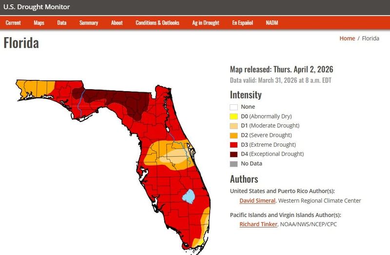One week of heavy rain won't make much of a dent in Florida's long-term drought conditions, federal climate officials say.