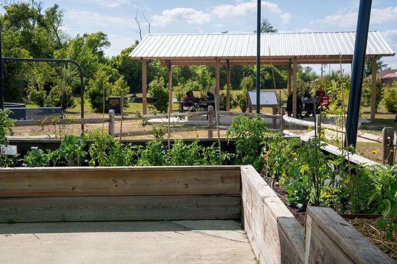 The newly renovated Henry A. Davis Community Park is pictured on April 10, 2026.