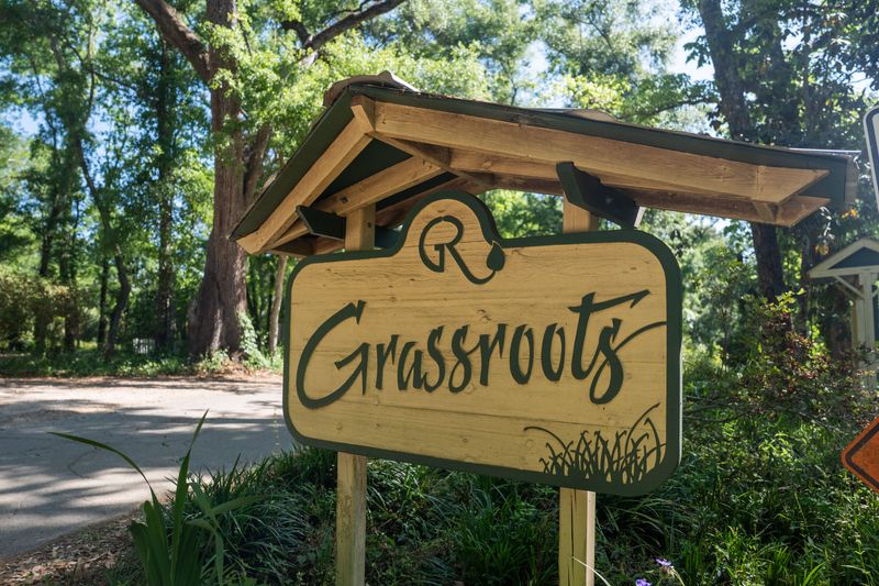 Grassroots School offers an alternative style of schooling.