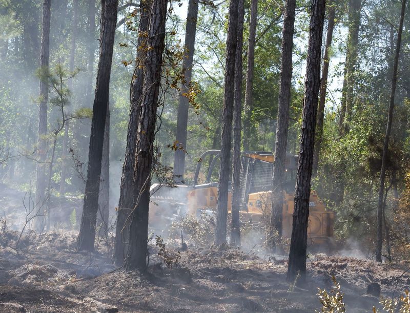 A heavy bulldozer makes firebreaks as the Florida Forest Service cuts battles a 400 acre wildfire that started last night at Balu Forest in Gainesville, FL on Thursday, April 16, 2026. The fire quickly spread but was knocked down with a multiagency firefighting effort in including air water and retardant drops.
