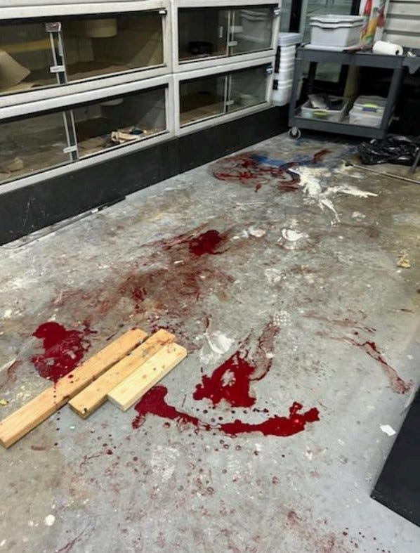Blood and feces cover the floor of Bill McAdam's reptile facility in Sunrise, Florida after state wildlife officials killed more than 30 pythons and one boa constrictor on April 6, 2023.