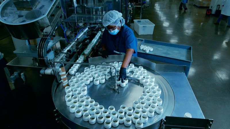 Flower processing in the Jefferson County, Florida Trulieve facility is seen in this undated photo.
