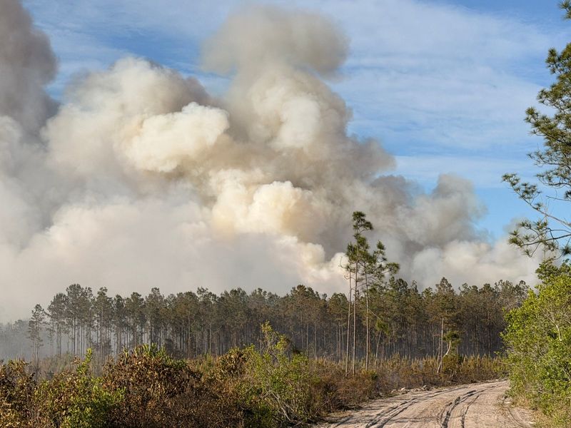 Smoke billows from a Clay County wildfire on April 21, 2026.