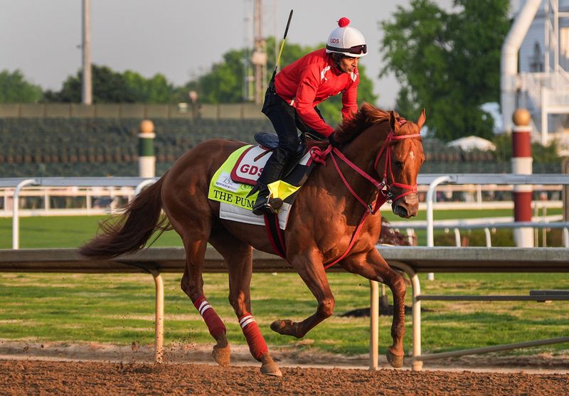 2026 Kentucky Derby horse The Puma during morning workouts at Churchill Downs. The chestnut three-year-old has only raced three times for one win, one place and one show with $244,280 earned. April 24, 2026.