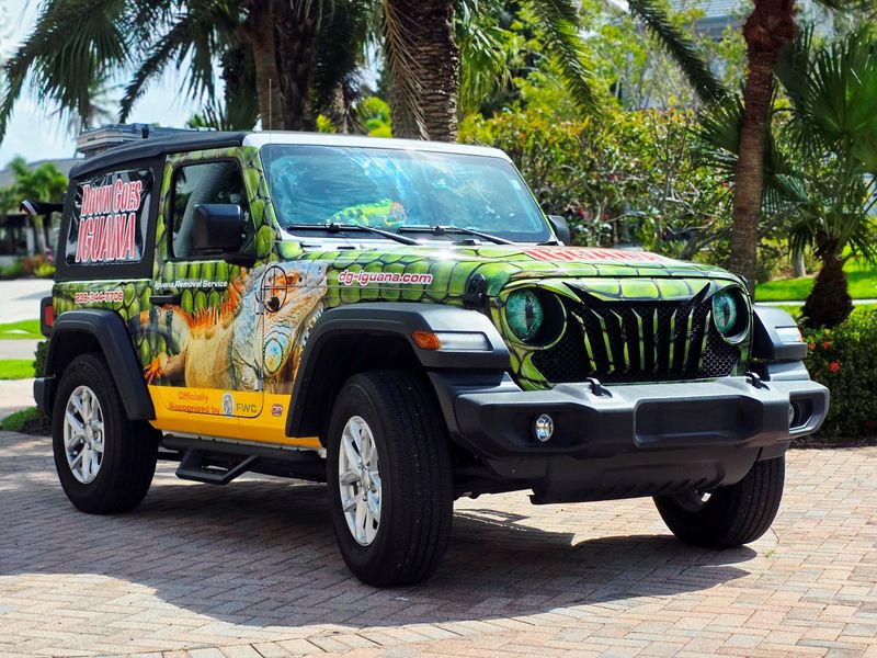 In his Iguana Mobile, John Johnson cruises the streets of Marco Island, working to eliminate exotic invaders, one lead slug at a time.
