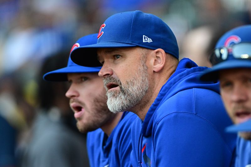 Oct 1, 2023; Milwaukee, Wisconsin, USA; Chicago Cubs manager David Ross looks on from the dugout during game against the Milwaukee Brewers at American Family Field. Mandatory Credit: Benny Sieu-USA TODAY Sports