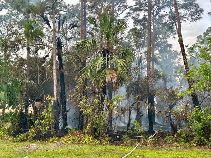 A 1-acre brush fire likely started from a downed power line on April 30, 2026, in the Foxwood Estates community.