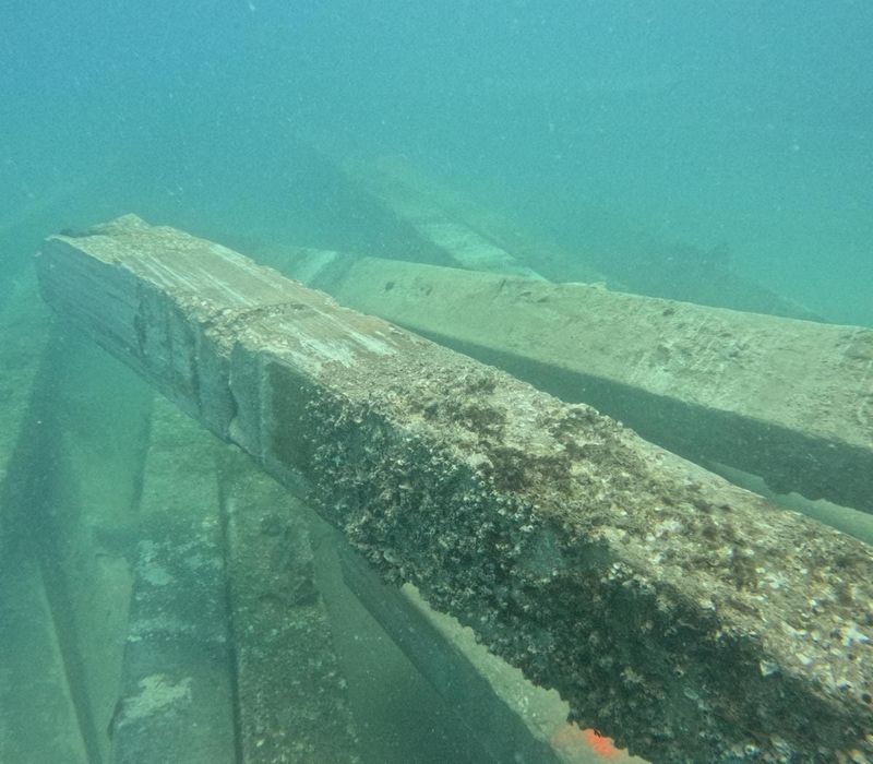 The Wassmer Reef 10 miles off Gordon Pass off the Naples coast was first established in 2015. Recently 59 pilings from the demolished Naples pier were added.