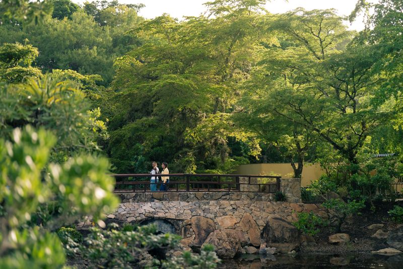 Visitors explore the gardens and cultural exhibitions at Morikami Museum and Japanese Gardens.
