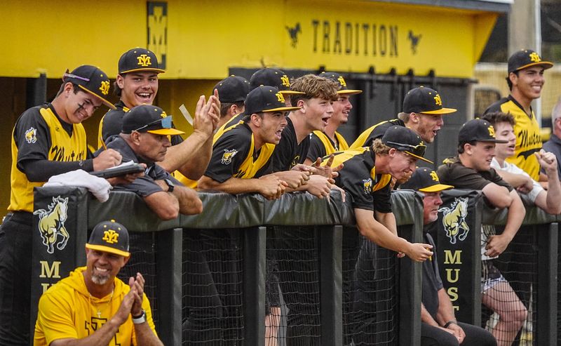 Merritt Island players and coaches applaud a nice defensive play against American Heritage in the third game of their three game series May 2, 2026. Craig Bailey, FLORIDA TODAY via USA TODAY NETWORK