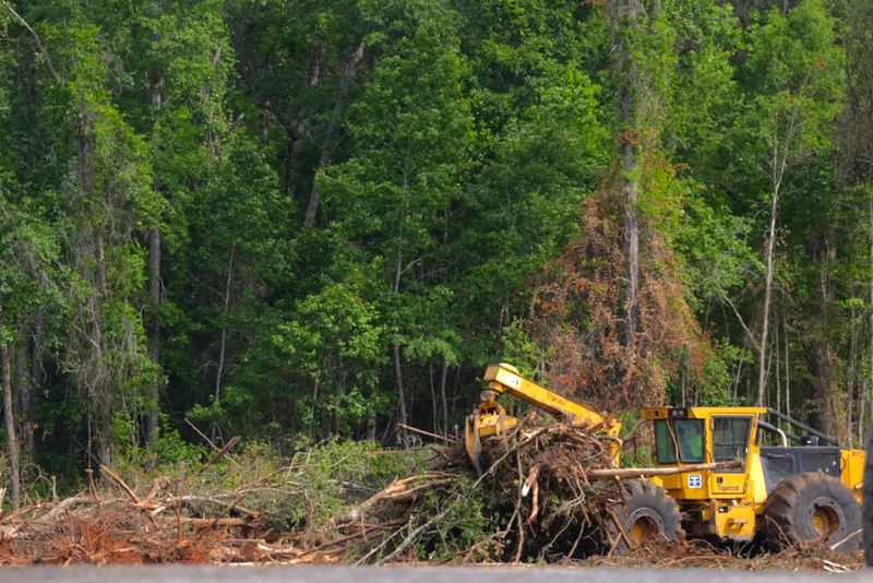 Trees are cleared by crews for the future site of TalisTrails, a 900-acre master-planned community that's slated to inject 1,500 homes in northeast Tallahassee, as seen on Wednesday, May 6, 2026.