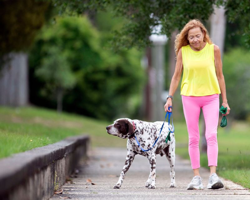 East Hill resident Diana Harvey takes Rico, a 14-year-old Liver Dalmation , on his morning walk on May 7, 2026. Escambia County Animal Control is developing a new ordinance requiring all dogs to be leashed in public spaces.