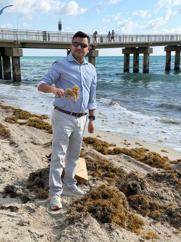 Imran Ahmad, a food scientist at Florida International University, studies ways to turn sargassum from a troublesome annual pest into a valuable commercial ingredient.