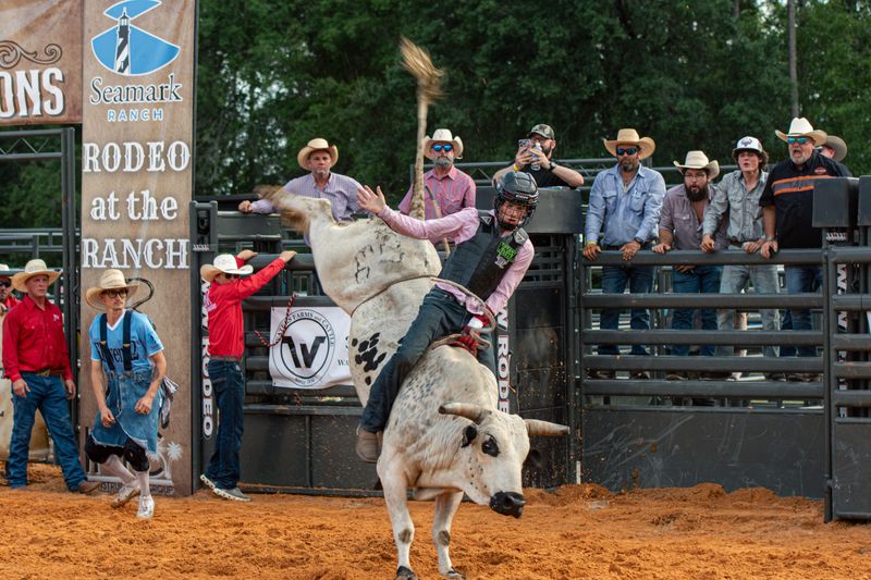 Bull riding at the 2025 Rodeo at the Ranch in Green Cove Springs.
