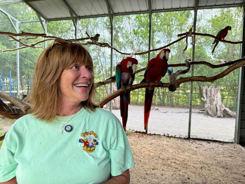 Trish Koile, founder of Patty's Parrot Palace, cares for 123 birds of the parrot family at her rescue in DeLand.