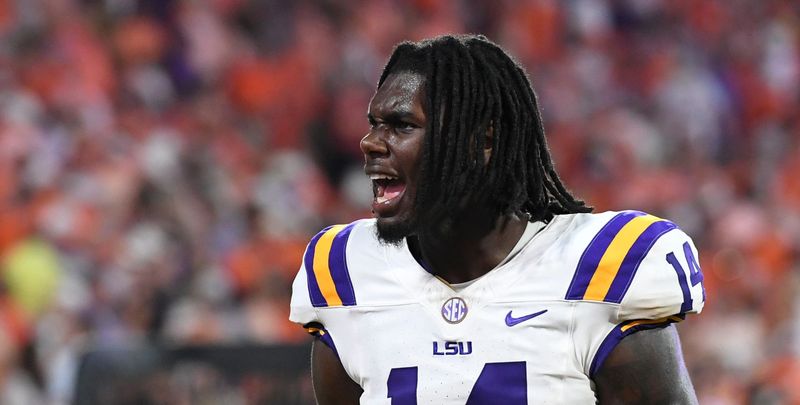 LSU Tigers tight end Trey'Dez Green (14) celebrates Saturday, Aug. 30, 2025 after the NCAA football game against the Clemson Tigers at Memorial Stadium in Clemson, South Carolina. LSU Tigers won 17-10.