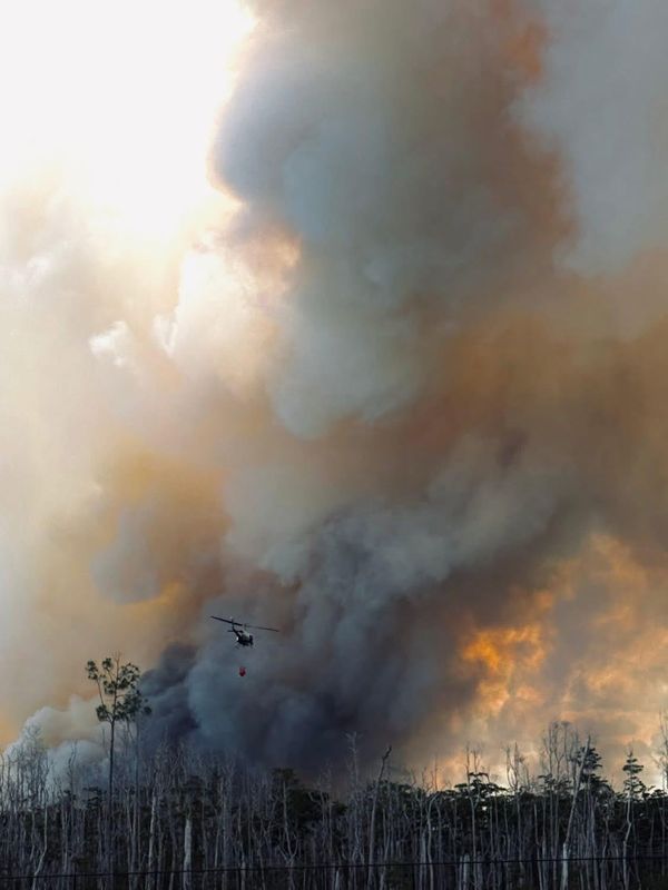 Authorities on Monday, May 18, 2026, battled separate brush fires on Rifle Range and Inez roads, in Collier County.