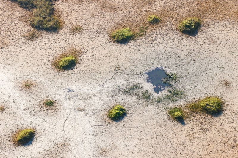 A gator hole offers the only water in an area of the Central Everglades as seen in early May 2026 during drought.