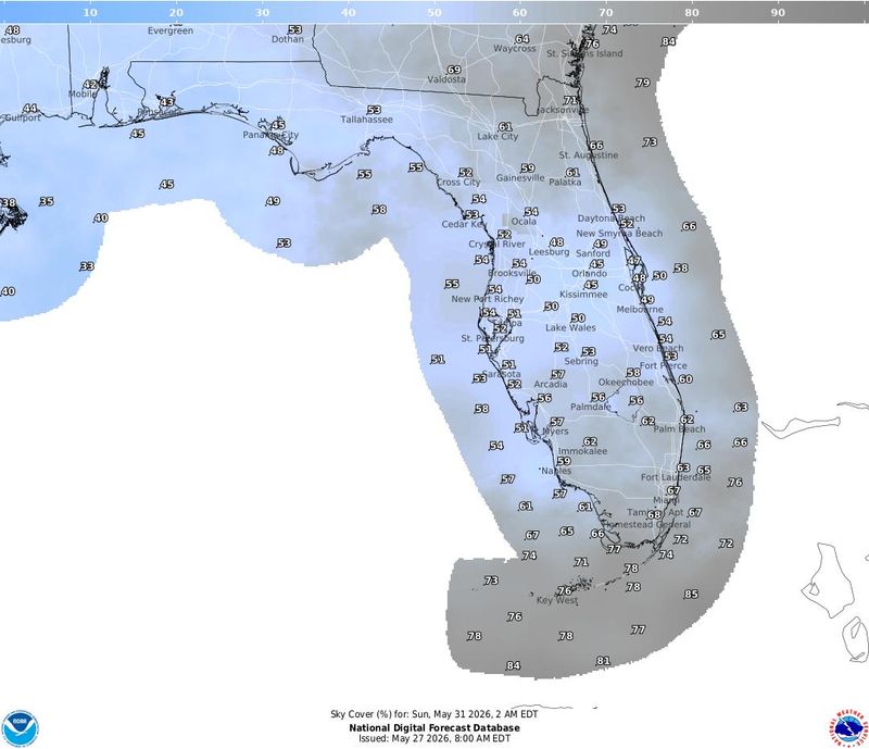 Predicted cloud cover across Florida at 2 a.m. May 31, shortly before the peak of the blue moon.