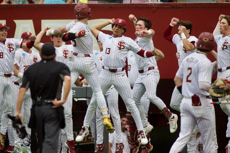 Gabe Fraser (front left) celebrates his home run with Noah Sheffield (back right) as FSU baseball hosts St. John’s in the NCAA Tallahassee Regional on Friday, May 29, 2026 at Dick Howser Stadium.