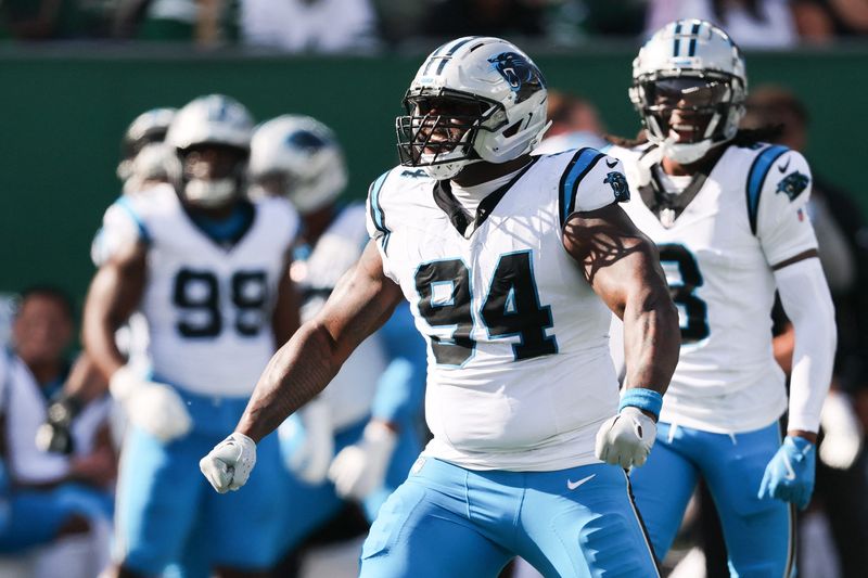 Oct 19, 2025; East Rutherford, New Jersey, USA; Carolina Panthers defensive end A'Shawn Robinson (94) reacts after a sack in the second quarter against the New York Jets at MetLife Stadium. Mandatory Credit: Vincent Carchietta-Imagn Images