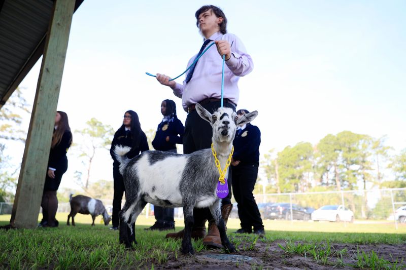 Aarond Scott, left, hold onto his goat Nieve during a ribbon-cutting ceremony for the Frank H. Peterson Academies of Technology new Agriscience and Veterinary Assistance Academy, Tuesday, June 2 , 2026, in Jacksonville, Fla.