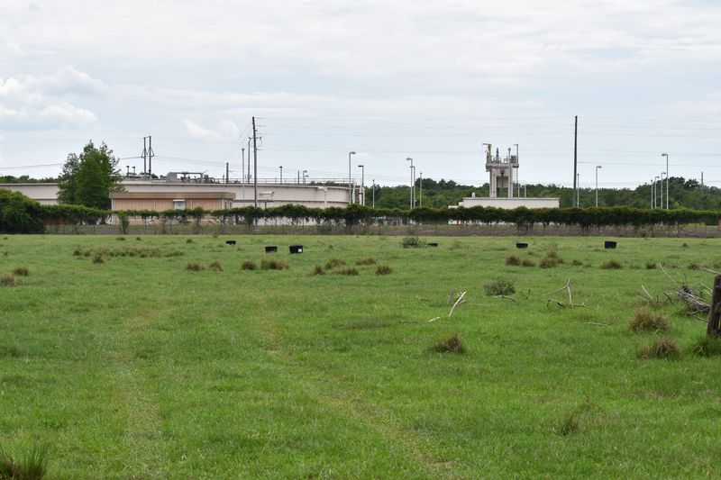 Pastureland in West Lakeland where the largest portion of a 600,000-square-foot data center has been proposed between the West Lakeland Wasteload Facility, seen in the background, and Wilkinson Road. A power substation is also proposed as part of the plan. Duke Energy has transmission lines in the area.