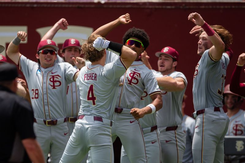Florida State Seminoles infielder Cal Fisher (4) celebrates his home run with his team. The Florida State Seminoles face the St. John's Red Storm in the Tallahassee Regional finals on Monday, June 1, 2026.