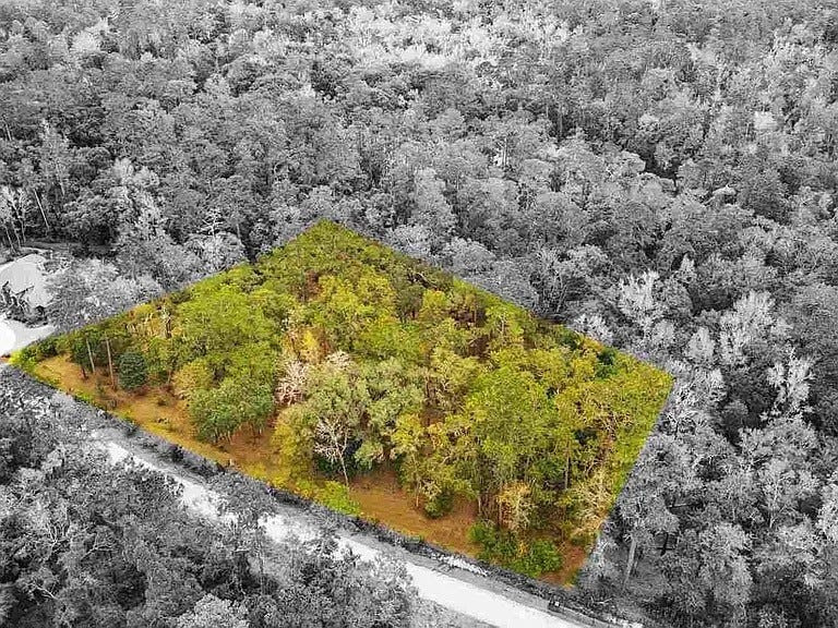 The 2.57-acre lot near Lake Hall has been on the market for about 30 days, said Tallahassee Realtor Bruce Foster, owner of the Big Bend Group.