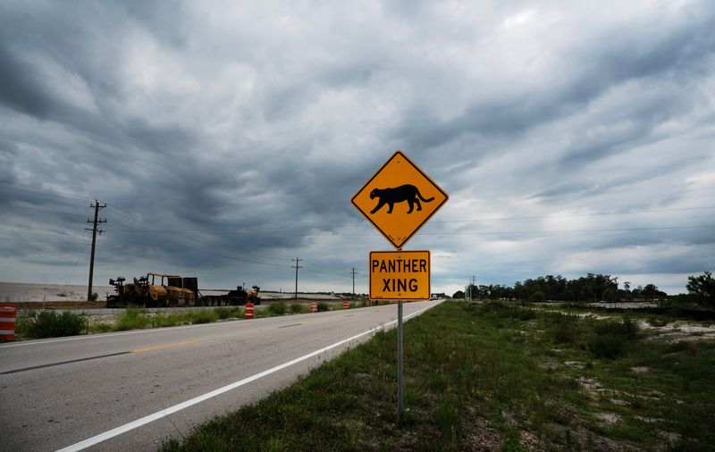 A panther crossing sign dots the landscape along Corkscrew Road on Tuesday, June 9, 2026. On both sides of the road, the controversial new development, Kingston is starting to take shape.